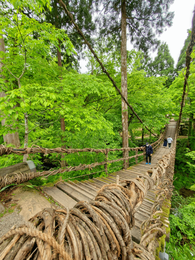 かずら橋おすすめの観光スポット 公式 福井県 観光 旅行サイトふくいドットコム