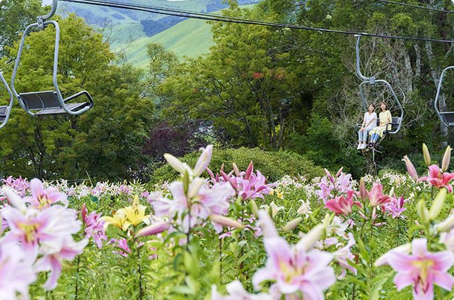 池の平展望公園 アソビュー！