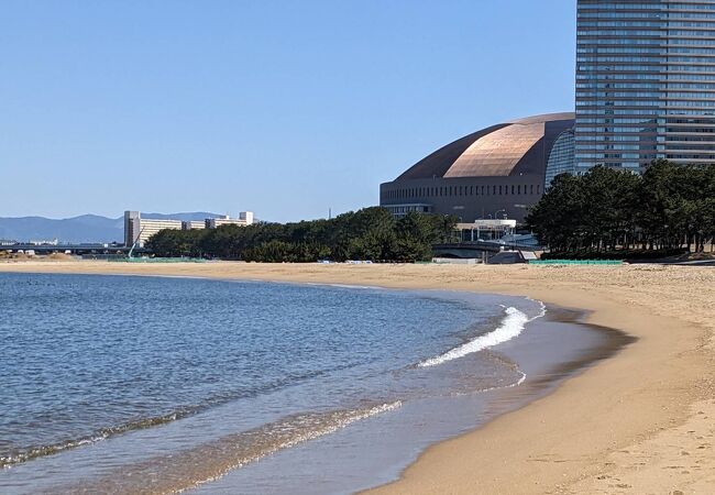 シーサイドももち海浜公園観光スポット公式 福岡県の観光 旅行情報サイト「クロスロードふくおか」