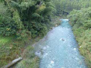 お知らせ - gojohshi