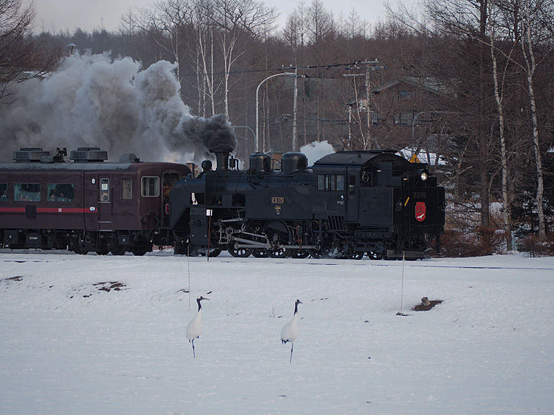 My Station大井川鐵道社長 鳥塚亮の地域を元気にするブログ