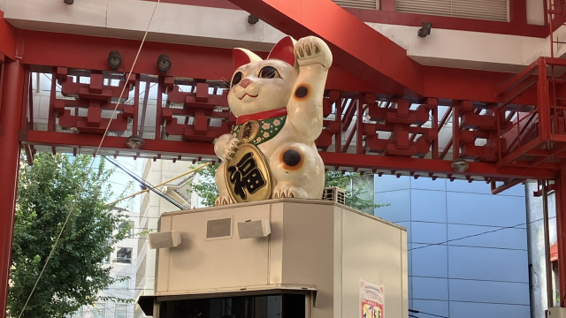 去年秋、久々に訪れた名古屋大須😺😺😺大須ふれあい広場大須商店街大須観音大須名古屋招き猫大須招き猫商店街商店街巡りファッションnagoyaosuosushoppingstreetosushoppingdistrictosukannonmanekinekofashion