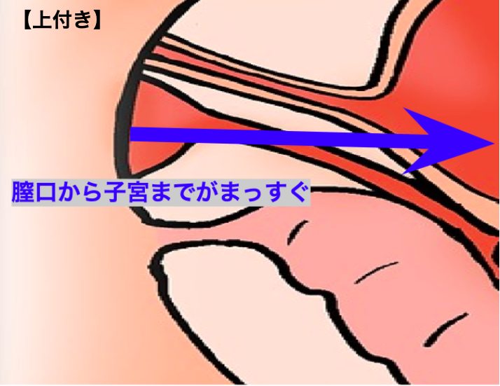 上付き・下付きマンコに最高のセックス体位【図解・動画】 | セクテクサイト