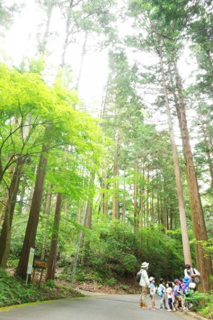 神奈川県立足柄ふれあいの村の今日・明日の天気 週末の天気・紫外線情報【お出かけスポット天気】 -