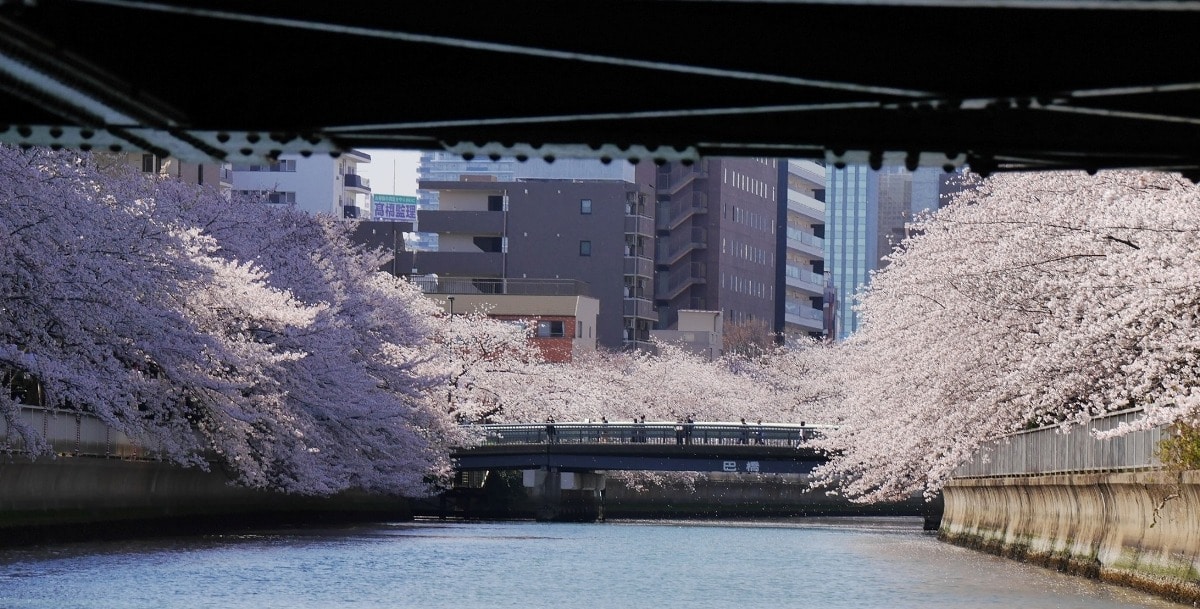 東京都庁戦略広報課 PR section of