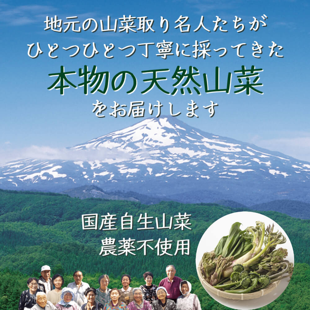 先輩インタビューvol.5】移住者が仕掛ける秋田遊びの提案。｜「株式会社遊名人」インタビュー｜KocchAke!（こっちゃけ）｜秋田県就活情報サイト