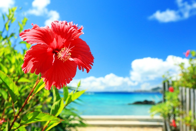 沖縄旅行は拠点選びが大切！エリア別おすすめ観光スポットまとめKlookブログ