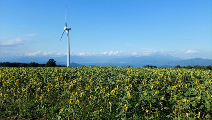 期間限定無料 風車のある農家 - CLIP