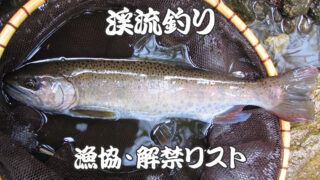 吉野川源流域 いの町本川漁協FISHPASS フィッシュパス