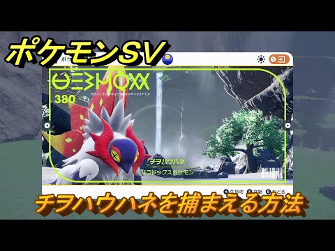 ポケモンSV 簡単なソロ攻略法と立ち回り