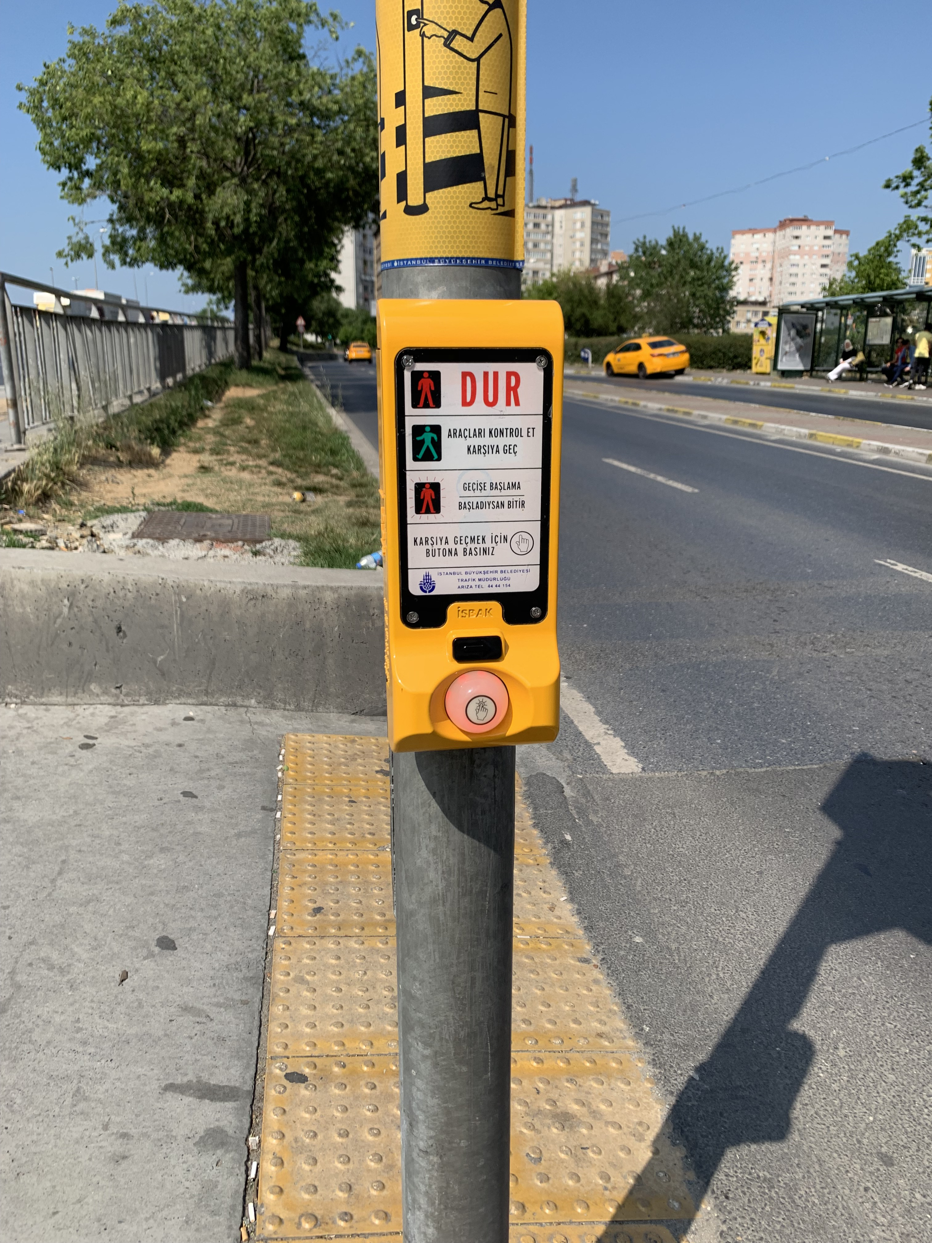 青信号が「緑色」である理由を紹介！昔は「緑信号」と呼ばれていた？ON THE ROAD