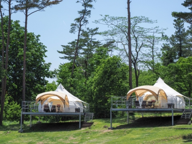 蒜山グランピングコテージ 森の散歩@GC_morinosanpoX