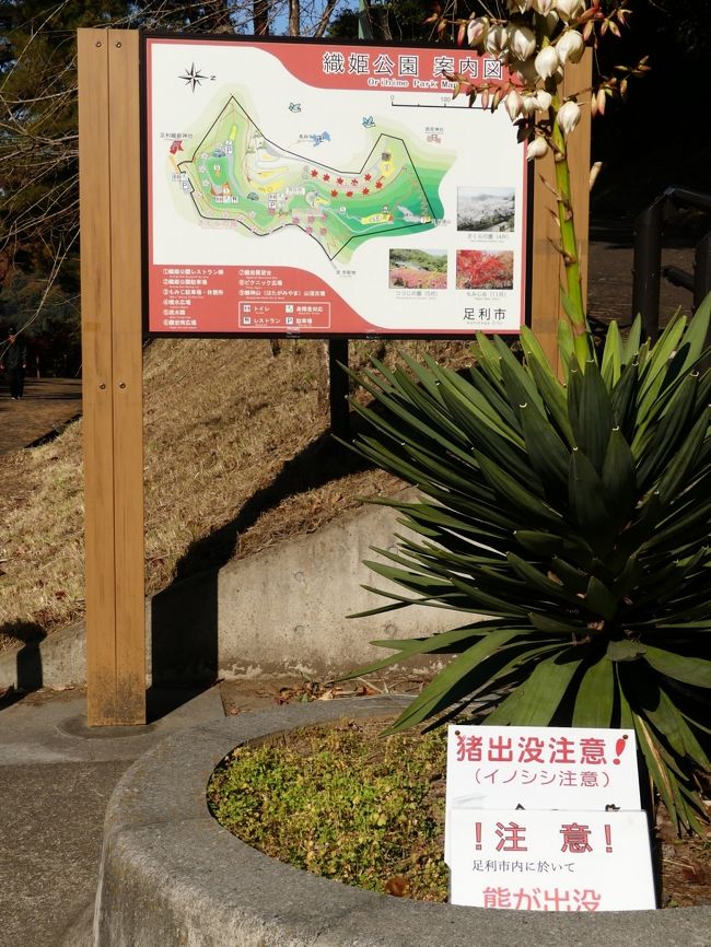 織姫公園 もみじ谷とちぎの農村めぐり特集栃木県農政部農村振興課