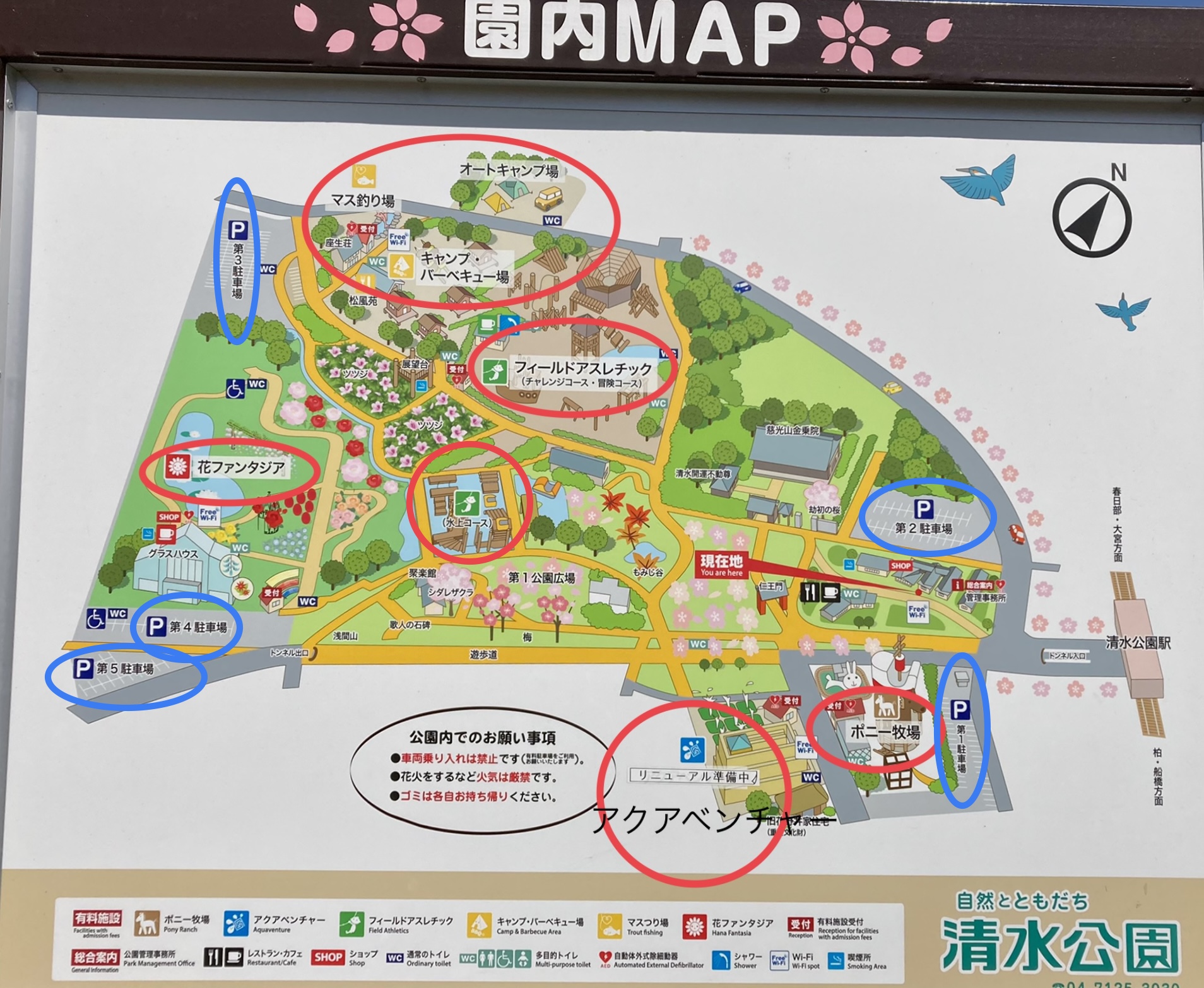野田市 『清水公園』ママと子どものお出かけレポート♩ポニー牧場12 2 月 〜リニューアル休場！