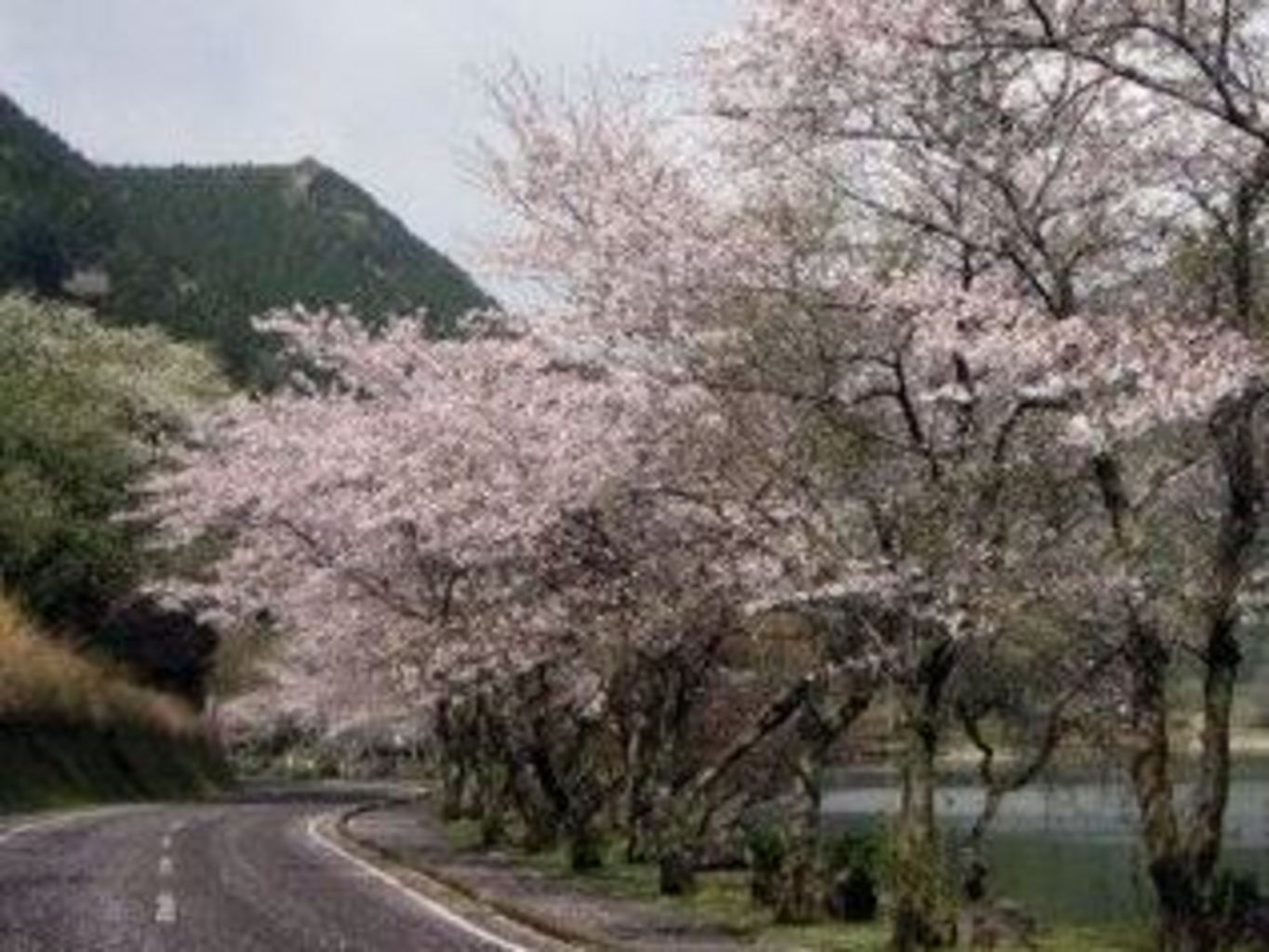 薩摩川内市 駄菓子 | TikTok