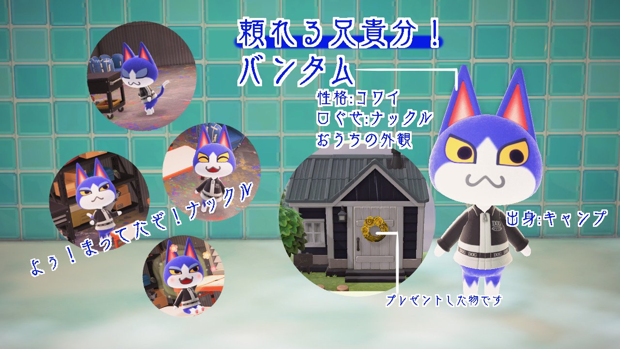 あつ森 バンタムの誕生日と性格 あつまれどうぶつの森 ゲームエイト