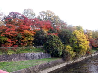 竜田川奈良 斑鳩 おすすめの人気観光・お出かけスポット - Yahoo!トラベル