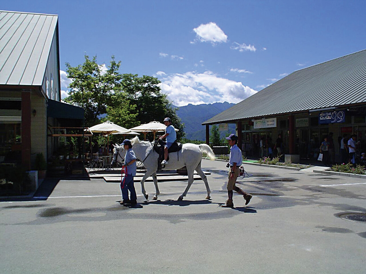 八ヶ岳リゾートアウトレット 愛犬ペットと現況を見た～最終章！破産手続き申し立てから完全閉鎖へ 動画付八ヶ岳南麓わんこ生活