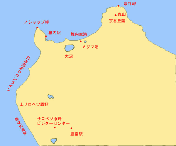 北海道の春の花 4月～6月 北海道の花・桜・高山植物悠悠北海道公式サイト