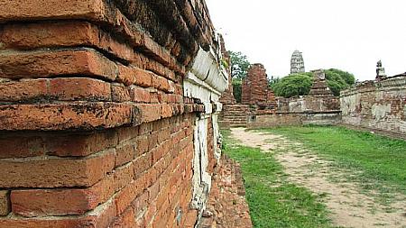 世界の棚田認定NPO法人 棚田ネットワーク