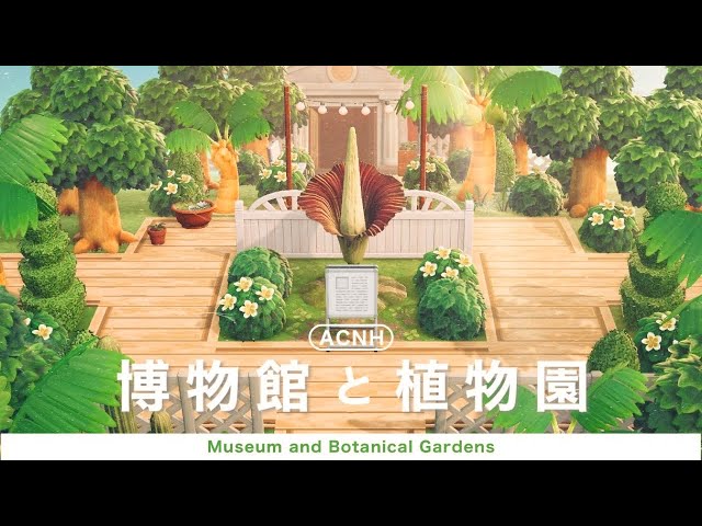 高さ2.5メートル！ ショクダイオオコンニャク開花 米植物園 写真3枚 国際ニュース：AFPBB