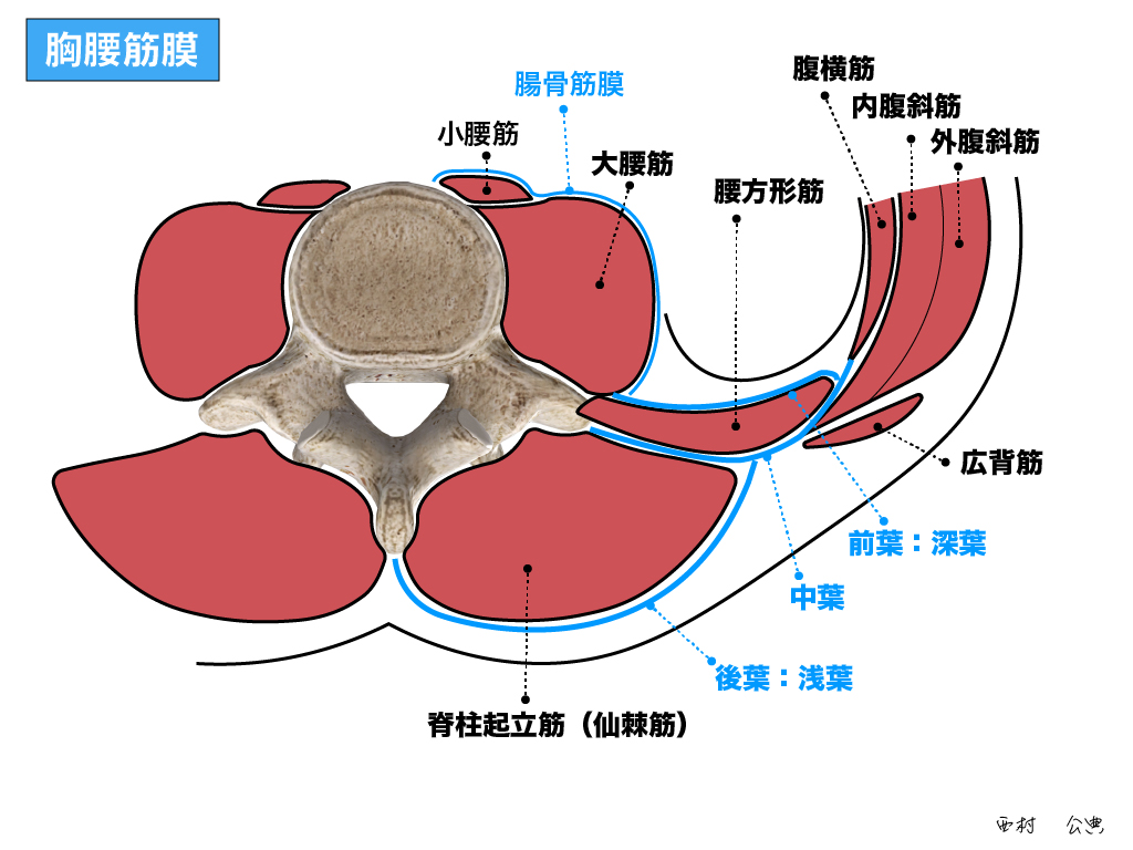 2024年】埼玉県の鼠径ヘルニア治療 おすすめしたい6医院 | メディカルドック