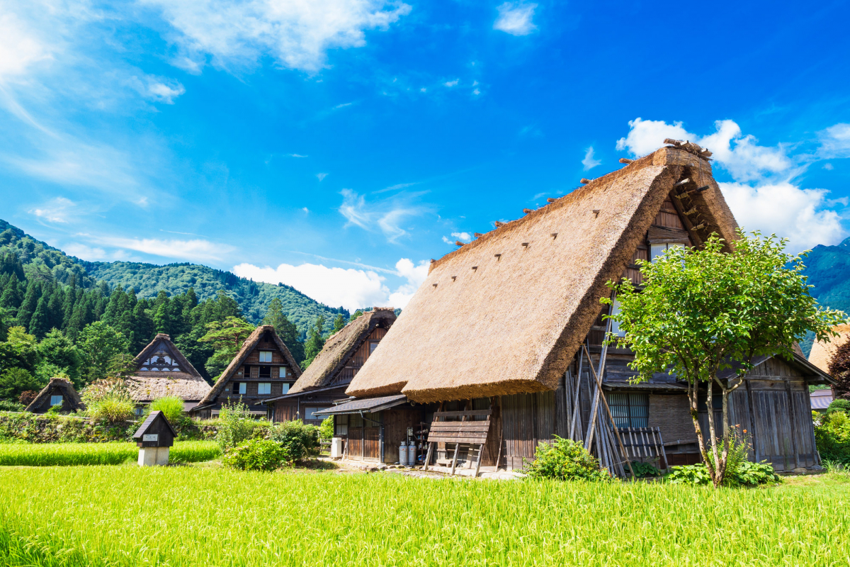 海外の反応 「日本の田舎なんて無理！」派手好きアメリカ人女子学生が日本の田舎に嫌々初留学！田舎特有の文化と食事や絶景に衝撃！まさかの価値観崩壊！？ -YouTube