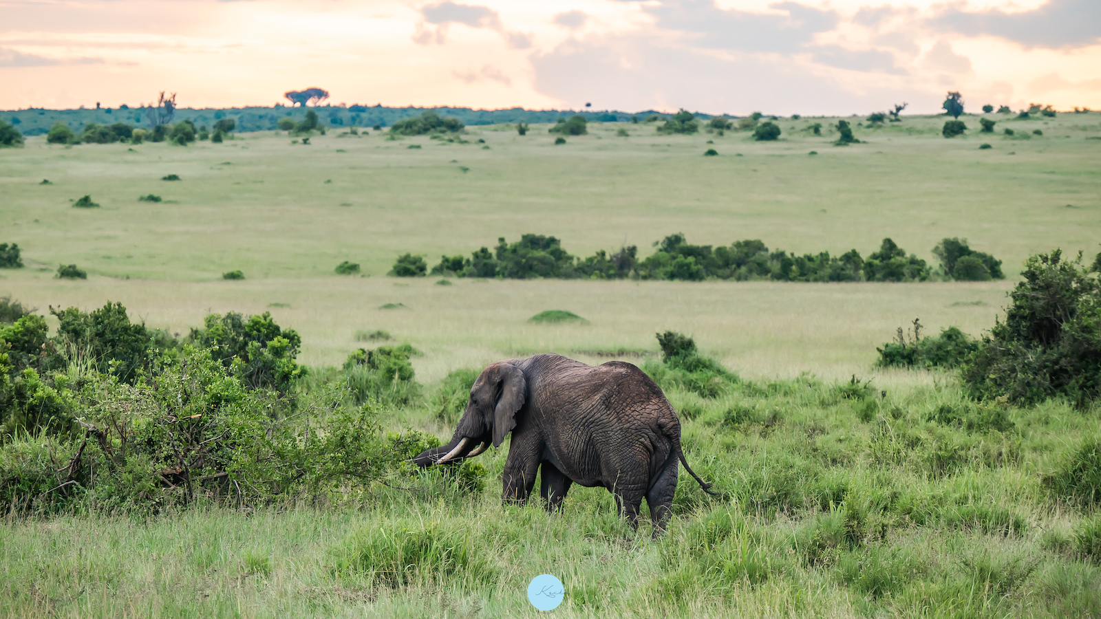 Lovely Africa タンザニアサファリツアー専門店