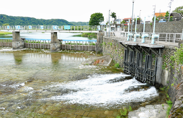 羽村堰 東京都羽村市- 佳景探訪