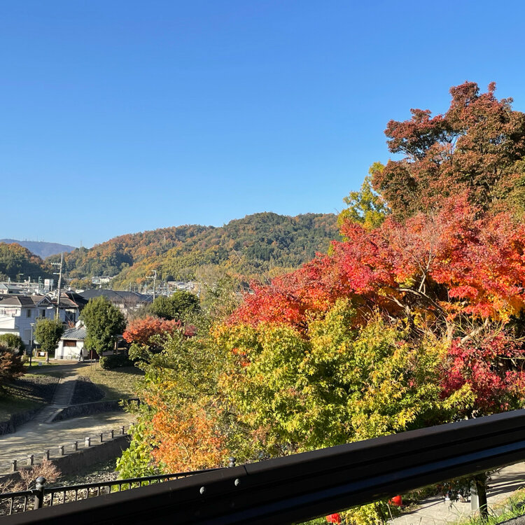 竜田川奈良 斑鳩 おすすめの人気観光・お出かけスポット - Yahoo!トラベル