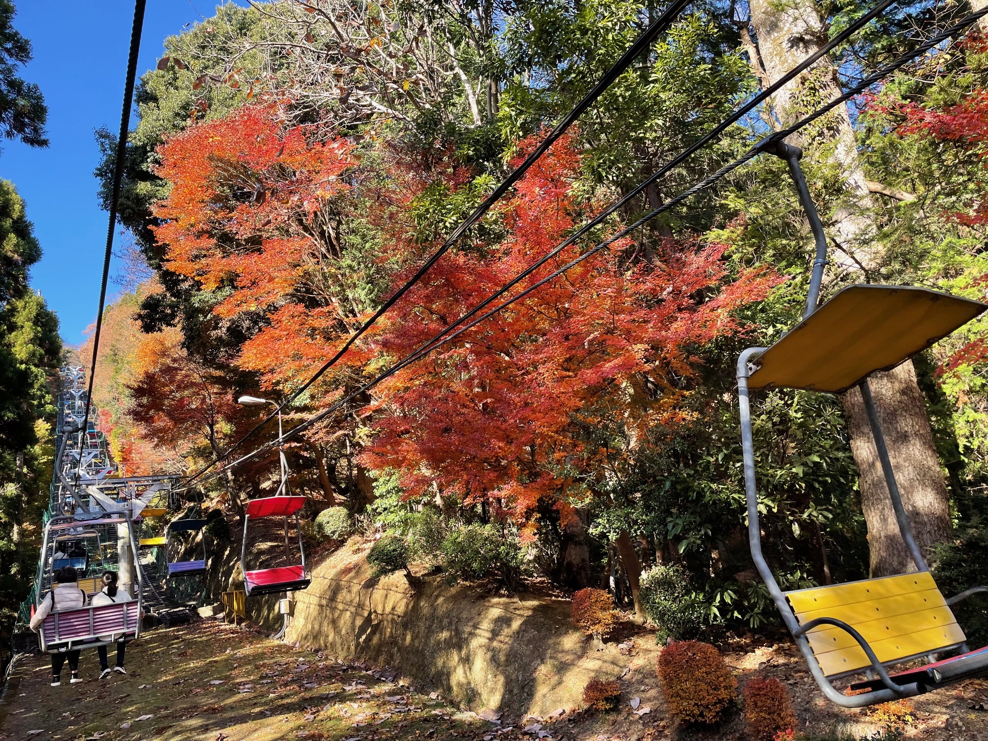 高尾山リフト - 高尾山の山腹まで12分の空中散歩見どころ高尾山マガジン