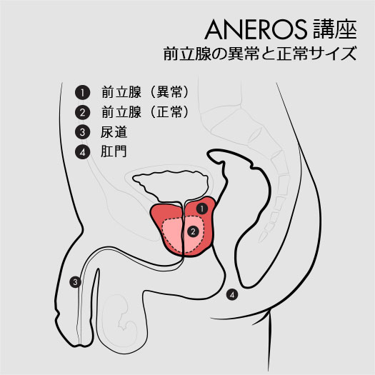 前立腺マッサージとは？｜口コミ風俗情報局