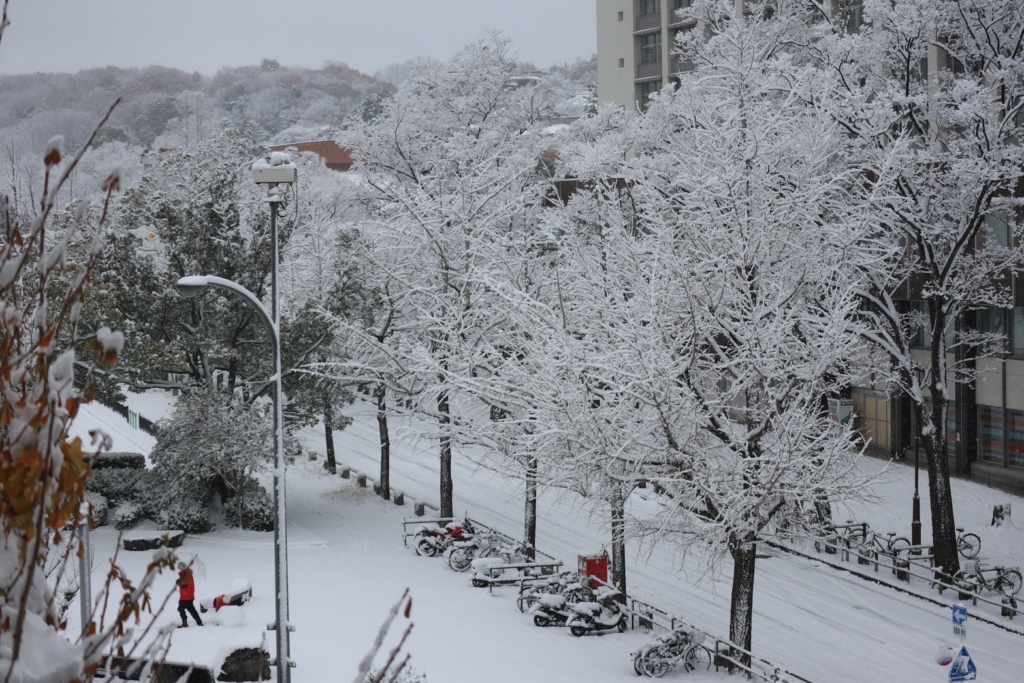 名古屋も雪！です。 - 広告企画・デザインセンター｜株式会社マルク｜ -名古屋市-