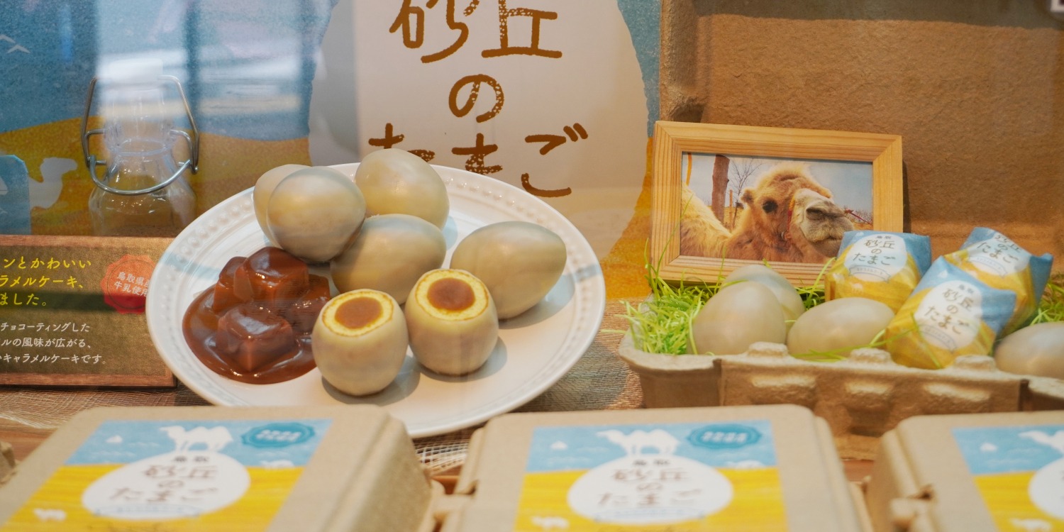 砂丘会館 – 鳥取砂丘の観光ガイド360@旅行ナビ