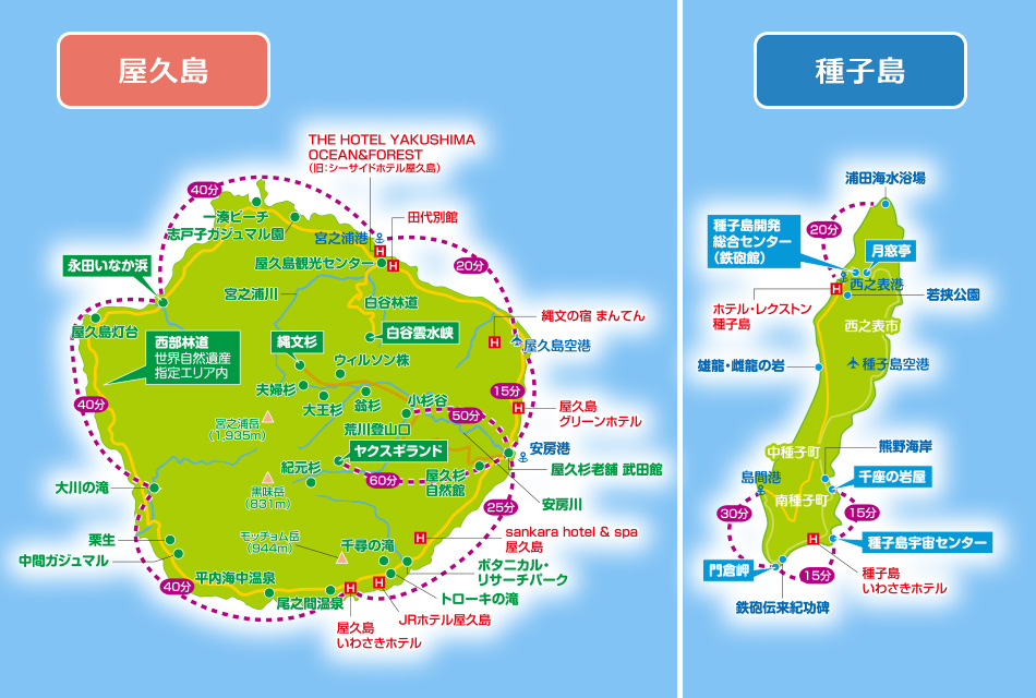 目の前に広がる青い海。 テラスの椅子に腰かけ、潮風を感じながらゆったりとした時間を過ごすひととき。 日常の喧騒を離れ、ただ海を眺めるだけの贅沢。宗像大島リゾートで、心と体をリセットする穏やかなひとときを。