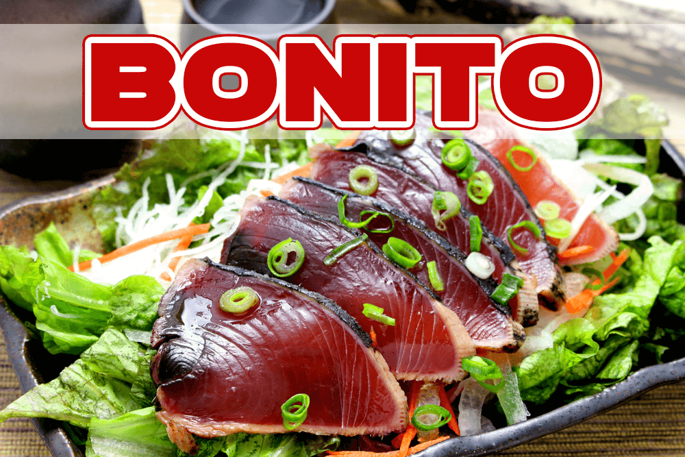 京都の海が見えるカフェ特集特集海の京都観光圏