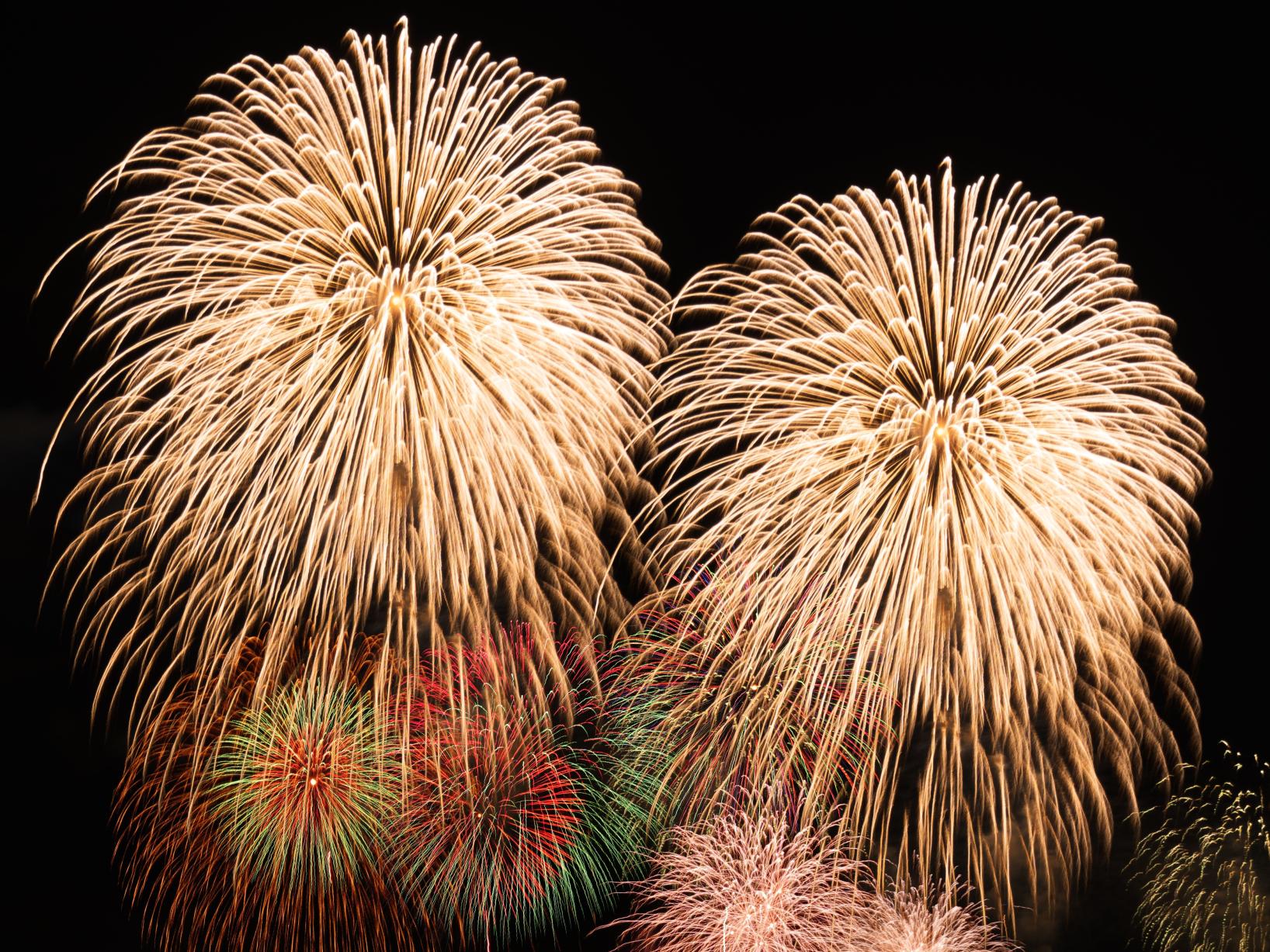 🎆＼ 最新版 2025年