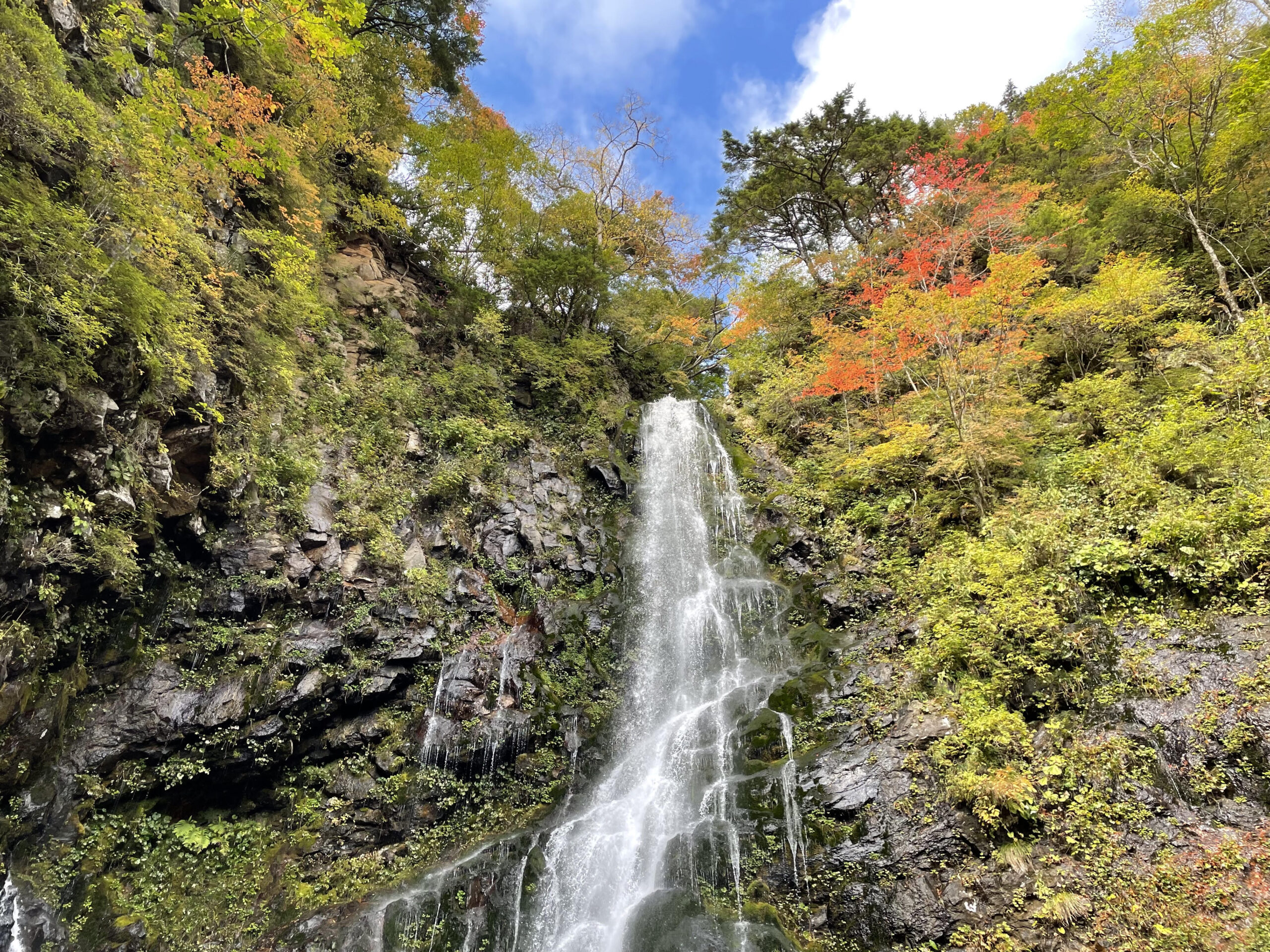 福島市のタウン情報／ご当地あれこれ｜ホームメイト