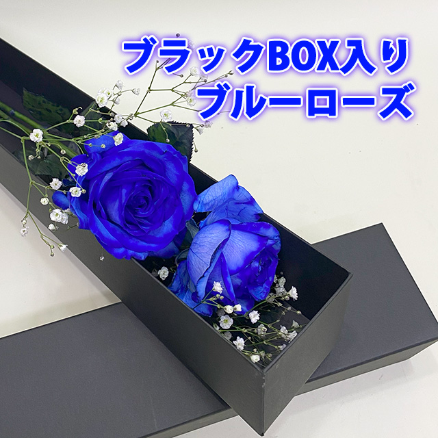 【簡単ハンドメイド】ブルーローズ隊のブルーローズを手作り🌹💙