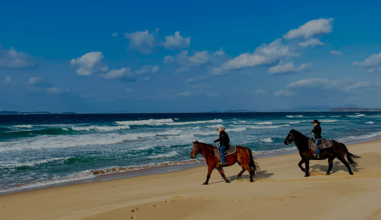 乗るだけの乗馬から、馬と一緒に楽しむ乗馬へ 三浦の海で馬と一緒に海水浴 ～海馬：うみうま90分～