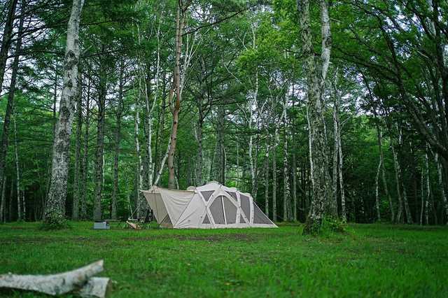 犬連れキャンプ 姫木平ホワイトバーチキャンプフィールドで雨キャンプ 長野県