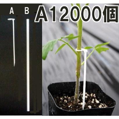 楽天市場】12,000個 たちんぼ T-110P 長さ11cm ナスニックス