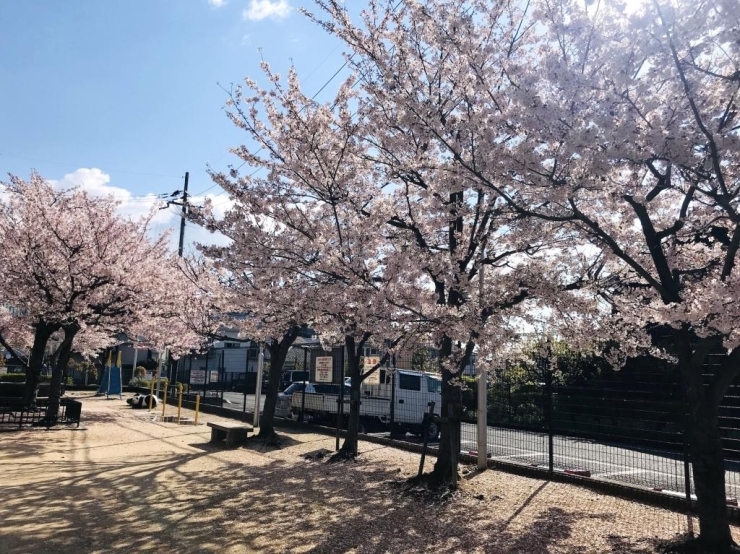 3/18・19vs.Fイーグルス名古屋 ＠加古川市立総合体育館 ホームゲーム情報 |