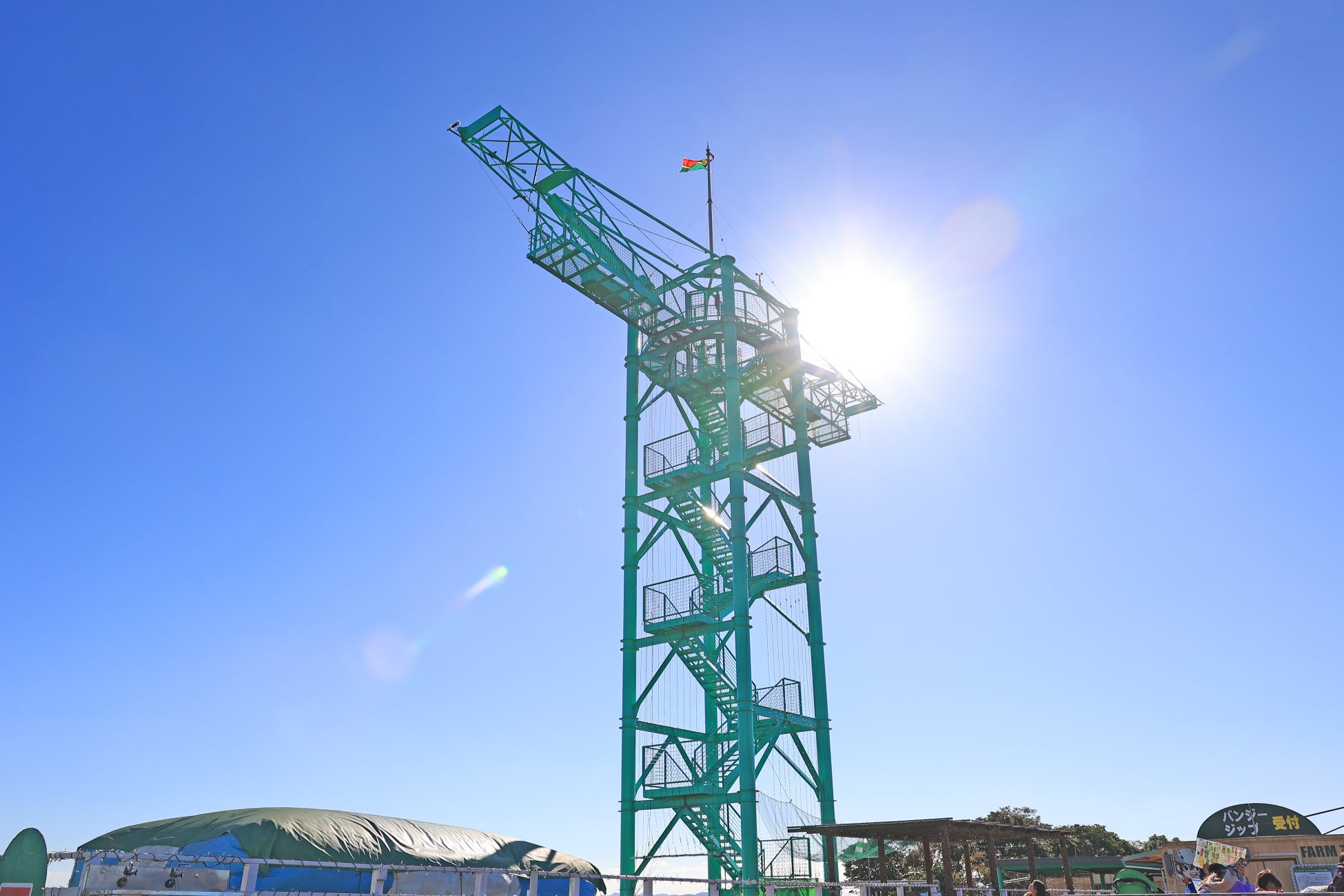 かわいい動物たちとのふれあいがいっぱい！ 一日中思いっきり遊べる「マザー牧場」に行こう