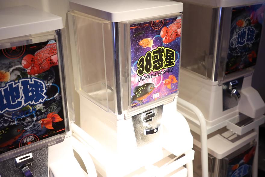 アクアリウム宇宙旅行 モゾTikTok