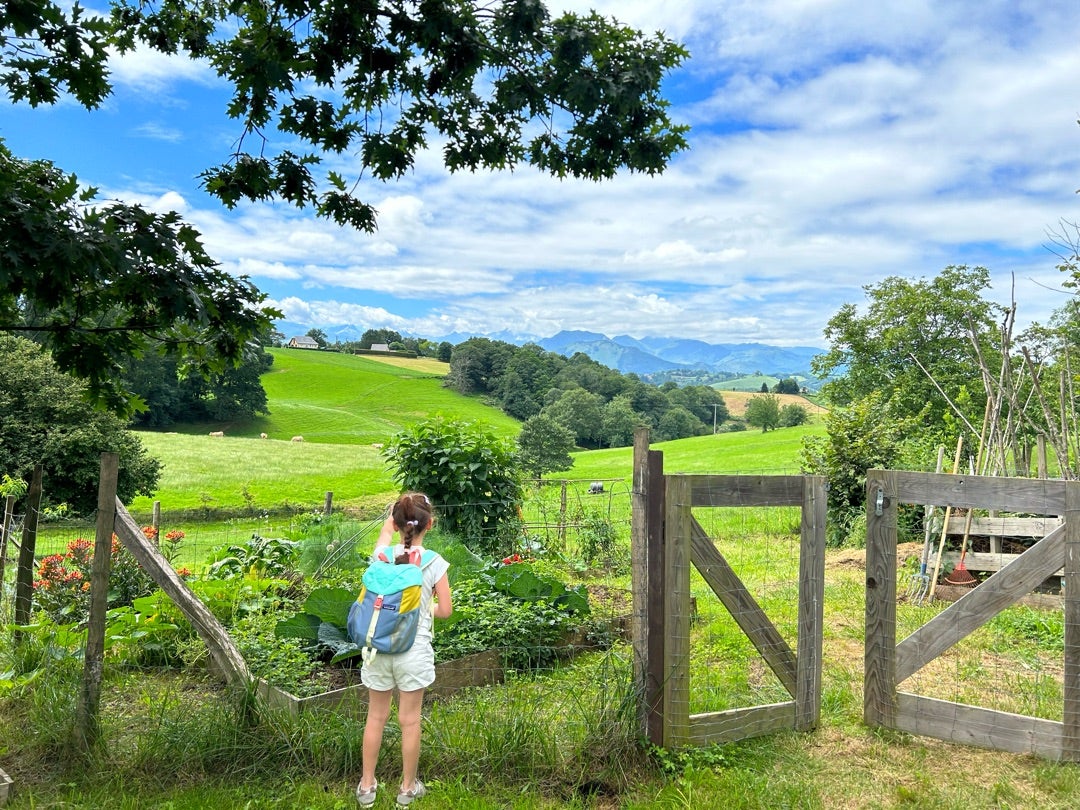 フランスの片田舎が魅力的な理由。伝統的な家づくりに見られる特徴をご紹介 - ラフェルムオンライン