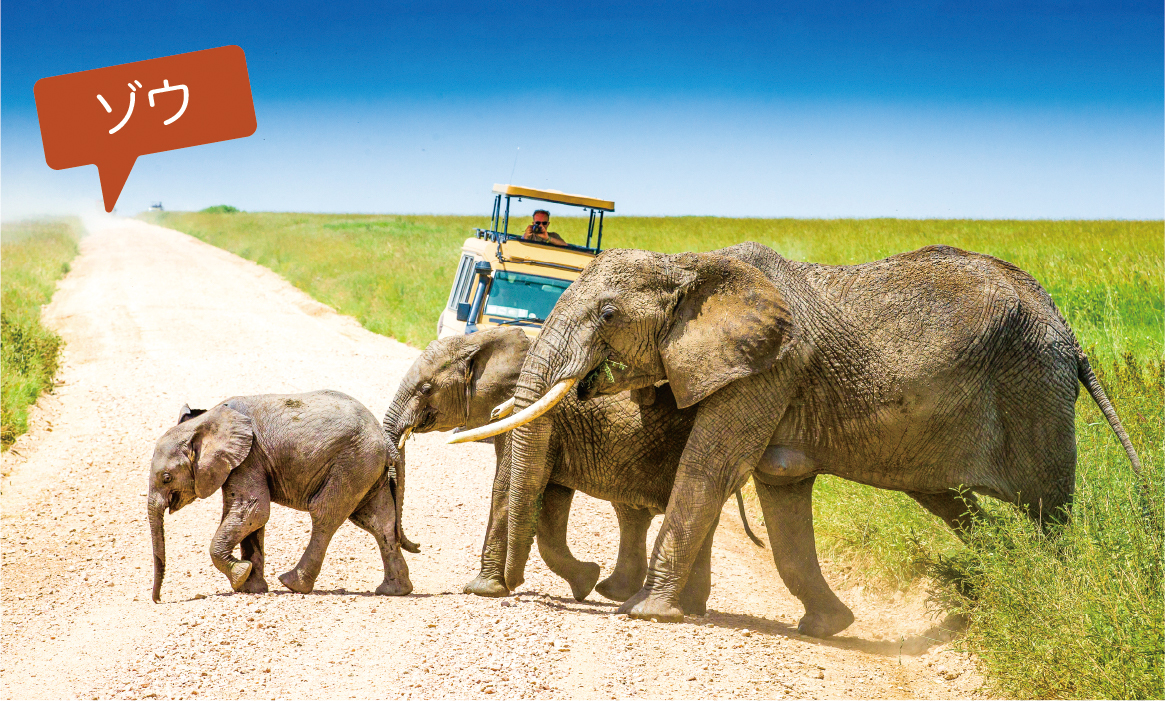 愛犬との海外旅行を計画したい！必要なことはなに？犬の総合情報サイト ペットスマイルニュースforワンちゃん