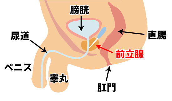 全身性感帯の女医さんと濃厚なプレイ