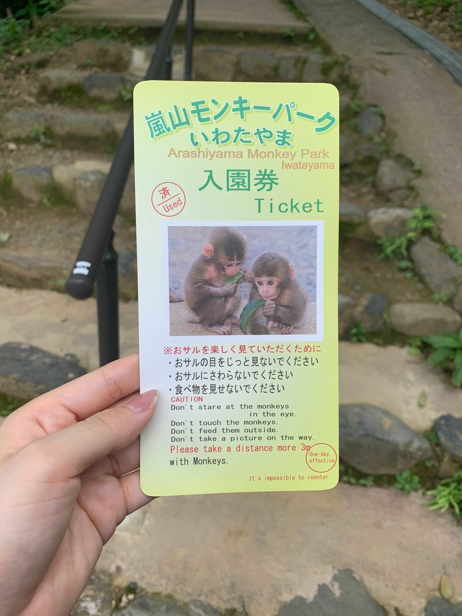 マリーナベイサンズ展望台！サンズスカイパークの料金や行き方・割引は？すーさんファミリーとっておきのマイル旅