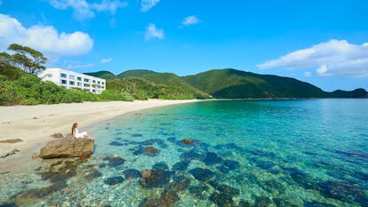 奄美大島、徳之島、沖縄島北部及び西表島」の位置・登録面積：林野庁